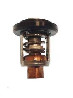 Termosztát 60°C Mercury/Yamaha/Parsun/Honda/Tohatsu